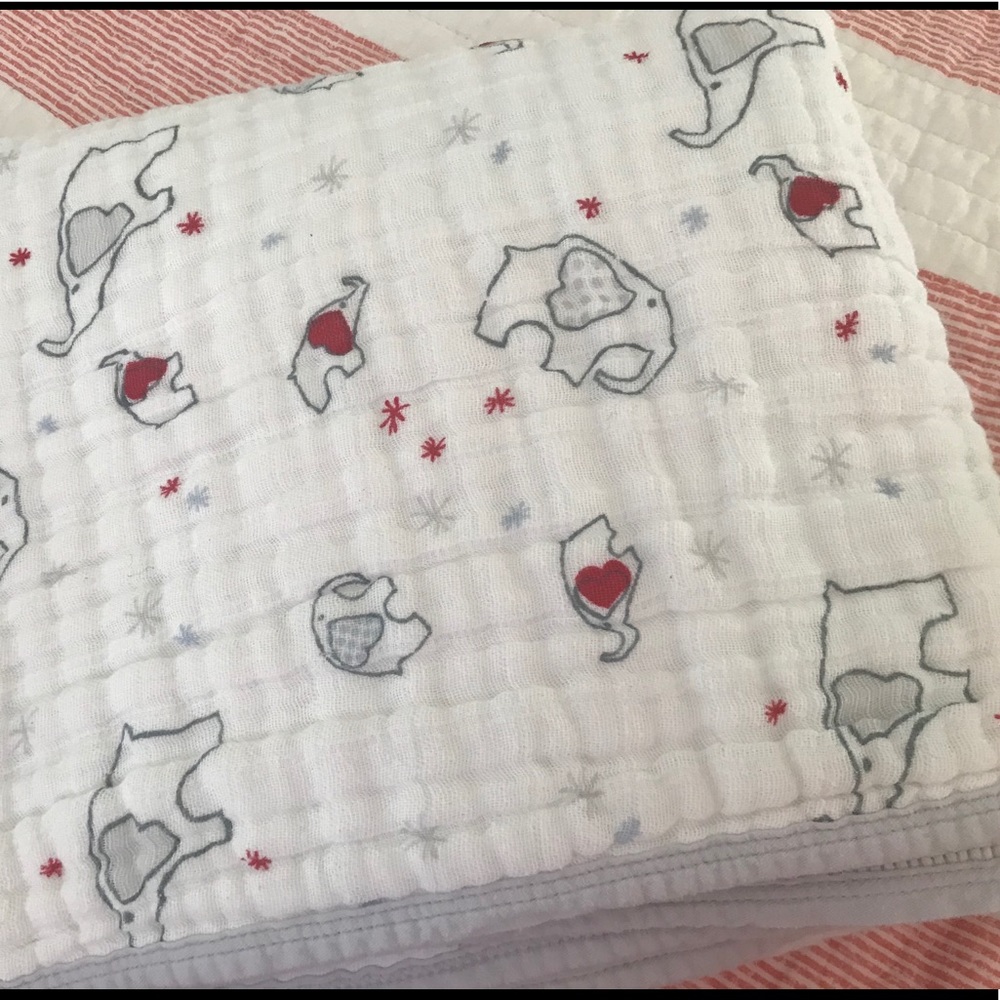 Aden & Anais dream blanket